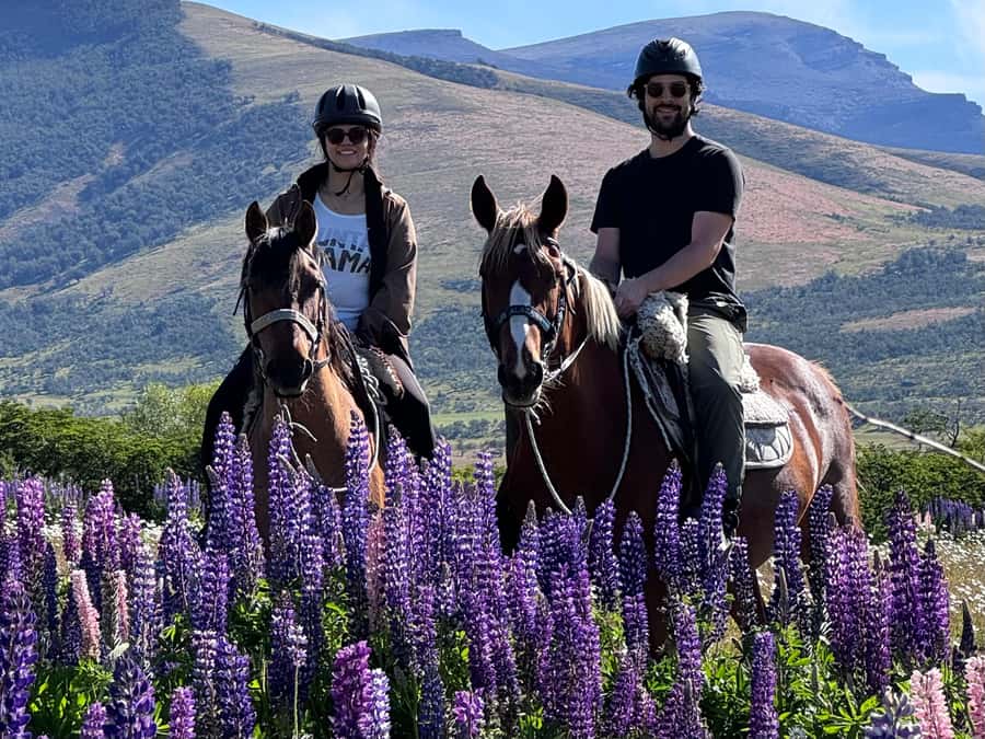 Puerto Natales: Horseback Riding with Horse Connection - Choosing a horse and preparing at the barn