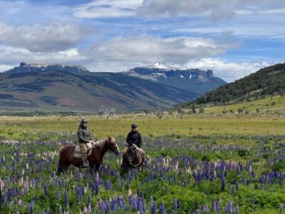 Horseback Riding with Horse Connection