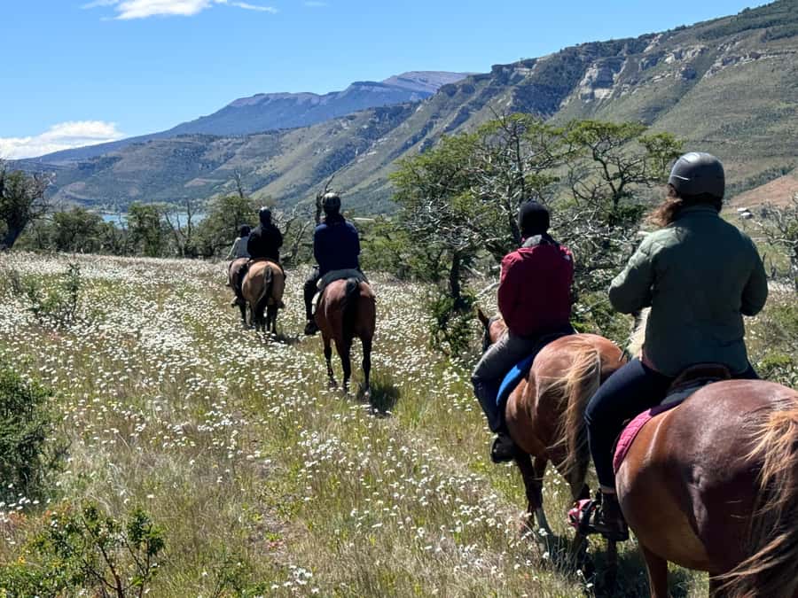 Puerto Natales: Horseback Riding with Horse Connection - Instructions in the pasture before the trail