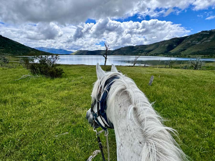 Puerto Natales: Horseback Riding with Horse Connection - The full-day route and woodland picnic