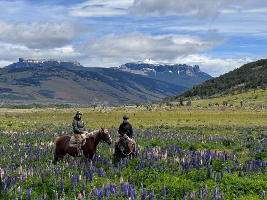 Puerto Natales: Horseback Riding with Horse Connection - Starting at Hotel Posada 3 Pasos