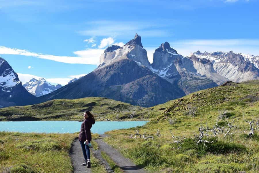 Puerto Natales: Private Full Day Torres + Milodon Cave - Private transport, guides, and the long day