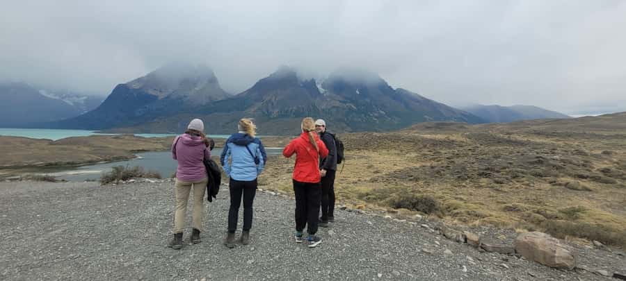 Puerto Natales: Torres del Paine Full Day Tour - Pehoe Lake and Salto Grande