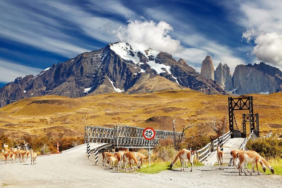 Puerto Natales: Tour Package (Full Day + Base Torres + Grey) - Three days that show Torres del Paine from every angle