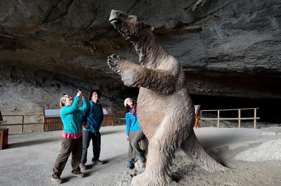 Puerto Natales: Tour Package (Full Day + Base Torres + Grey) - Transport, group size, and the practical rhythm