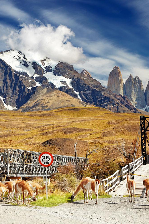 Puerto Natales: Tour Package (Full Day + Base Torres + Grey) - Who should book this package