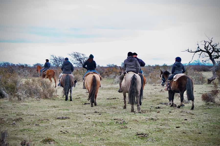 Puerto Natales: Traditional Horseback Riding Experience - From Puerto Natales to Puerto Demaistre
