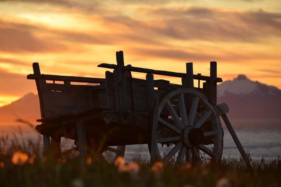 Puerto Natales: Traditional Horseback Riding Experience - Who will enjoy this ride most?
