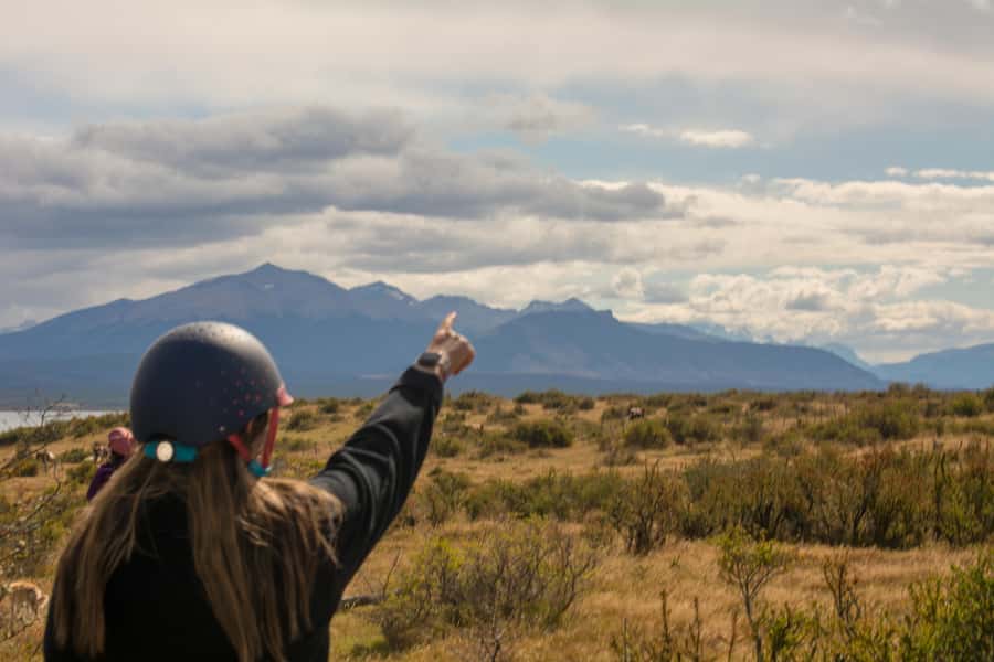 Puerto Natales: Traditional Horseback Riding Experience - Gentle horses for first-time riders