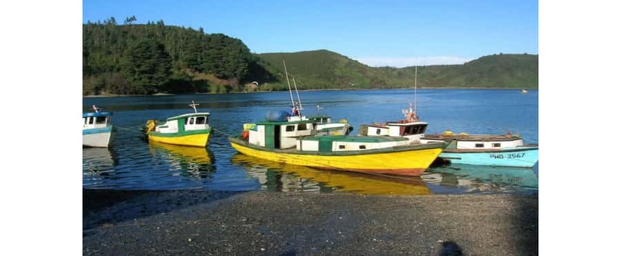Puerto Varas: Puerto Montt & Puerto Varas Private City Tour - Key points to know before booking