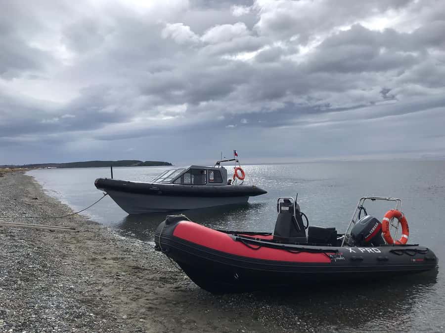 Punta Arenas: Dolphin & Wildlife Watching - Heading Onto the Strait of Magellan