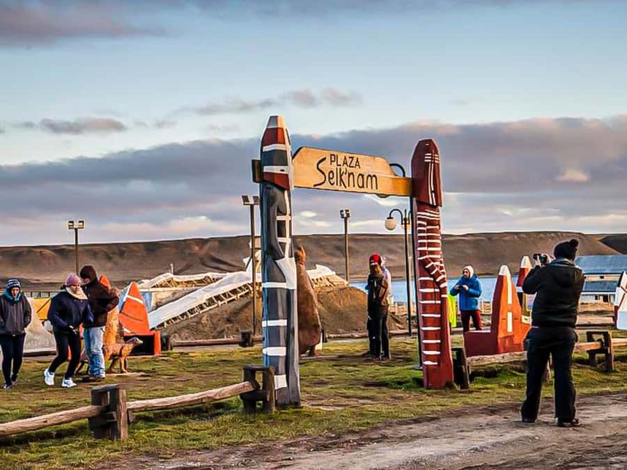 Punta Arenas: Full Day Tierra del Fuego & King Penguins - Key points before you book