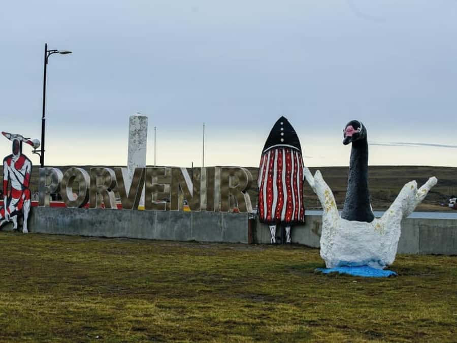 Punta Arenas: Full Day Tierra del Fuego & King Penguins - Why the King Penguins make the long day worthwhile