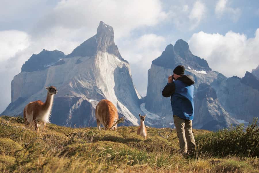 Punta Arenas: Full Day Torres del Paine + Milodon Cave - Key points at a glance