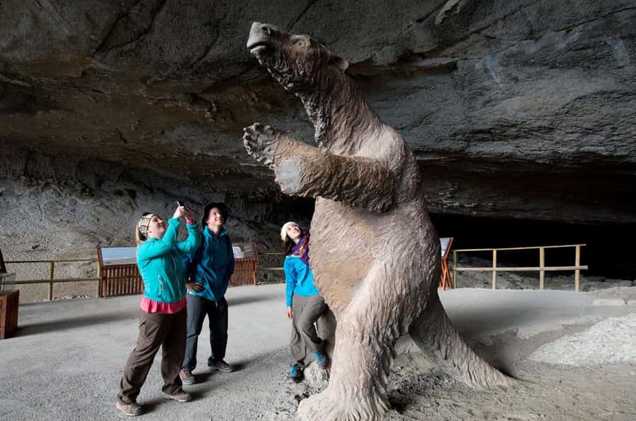 Punta Arenas: Full Day Torres del Paine + Milodon Cave - Cuernos del Paine and the first park views