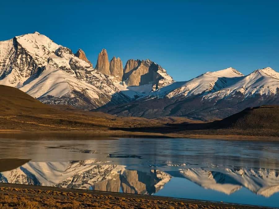 Punta Arenas: Full-Day Torres del Paine Tour - Key things to know before you book