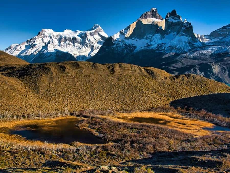 Punta Arenas: Full-Day Torres del Paine Tour - Milodon Cave and the story beneath the rock