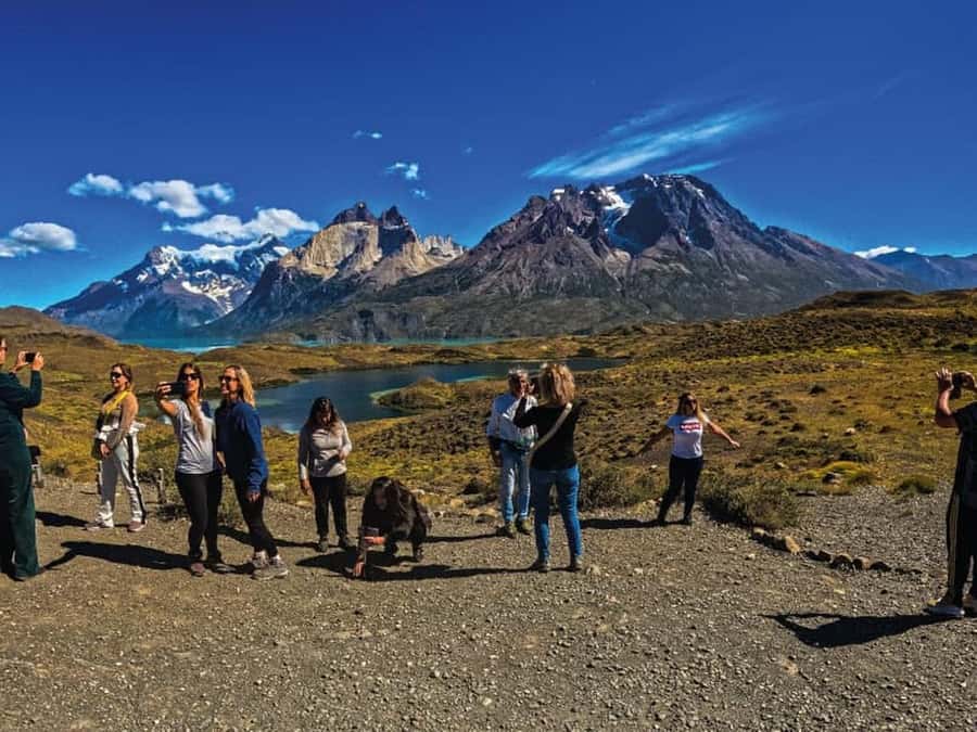Punta Arenas: Full-Day Torres del Paine Tour - Pehoé viewpoint and the big mountain view