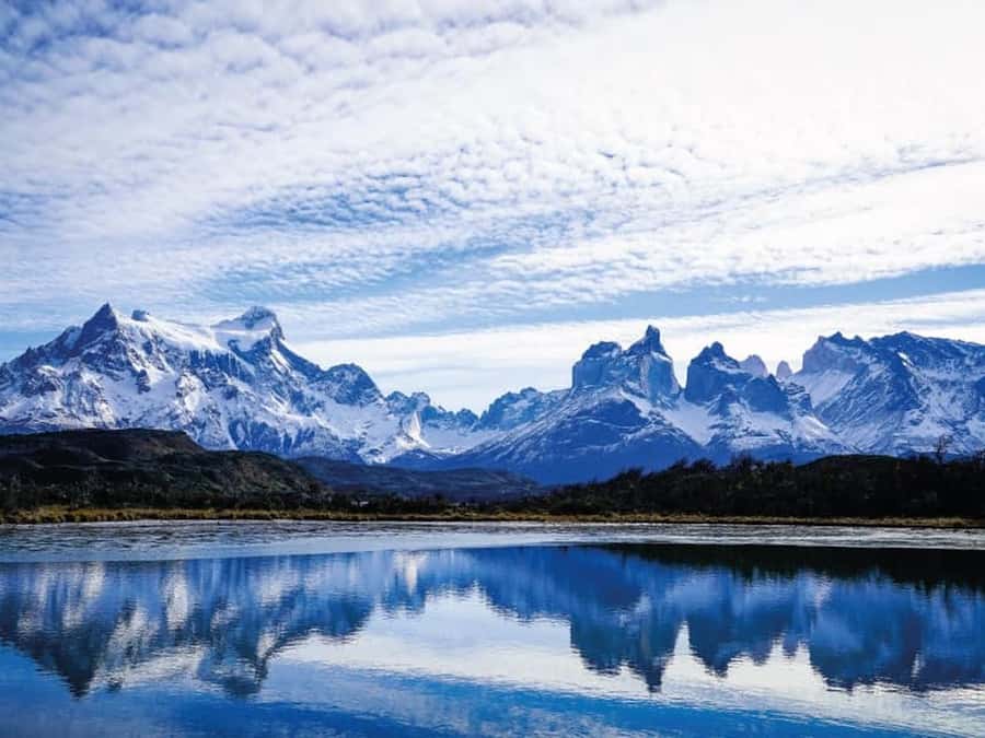 Punta Arenas: Full-Day Torres del Paine Tour - Guides, drivers, and the small-group feel