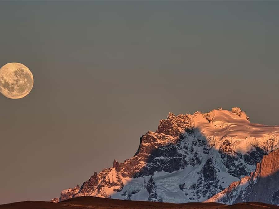 Punta Arenas: Full-Day Torres del Paine Tour - The road from Punta Arenas to Puerto Natales