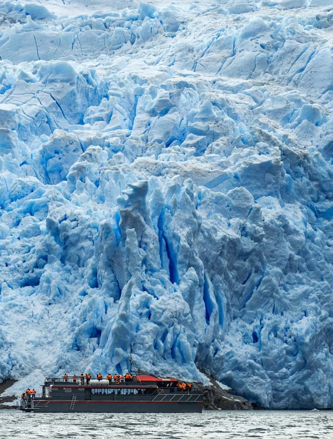 Punta Arenas: Full-Day Whales, Penguins, and Glaciers Tour - The pre-dawn start and the ride south