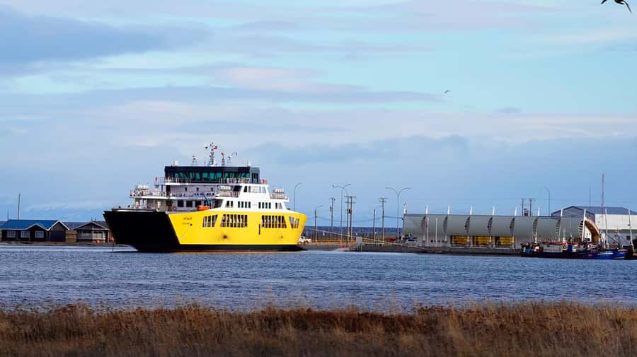 Punta Arenas: King Penguin Park and Tierra del Fuego Trip - What the ferry and weather mean for your plans