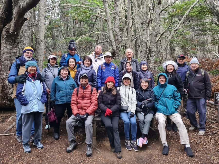 Punta Arenas: Magallanes National Reserve and City Tour - Booking details worth checking