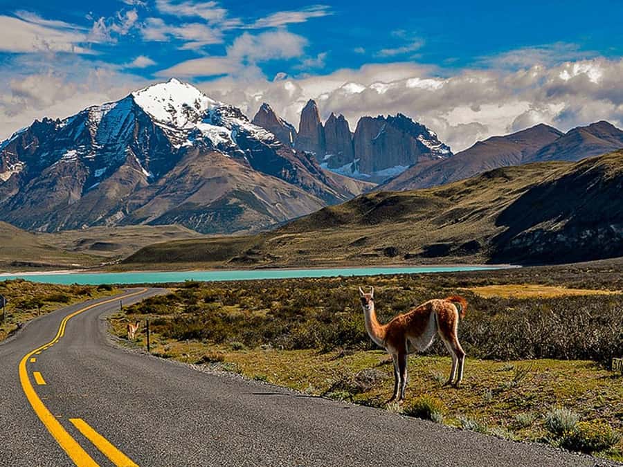 Punta Arenas: Torres del Paine & Grey Glacier Full-Day Boat - The real appeal: Grey Glacier from the water