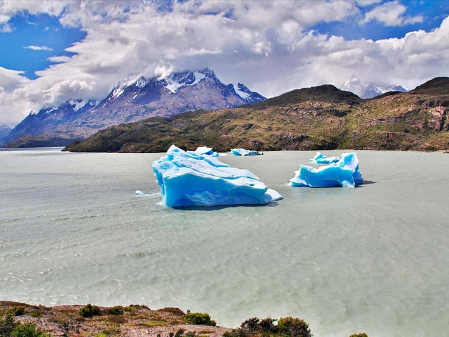 Punta Arenas: Torres del Paine & Grey Glacier Full-Day Boat - Leaving Punta Arenas for a full day in the park