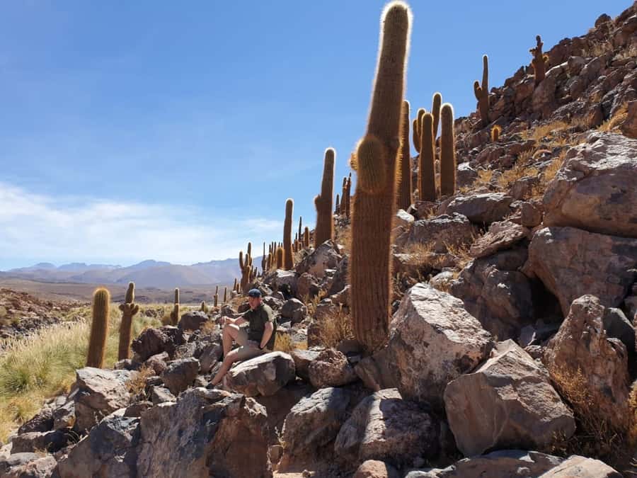 Purilibre Trekking - Key points at a glance