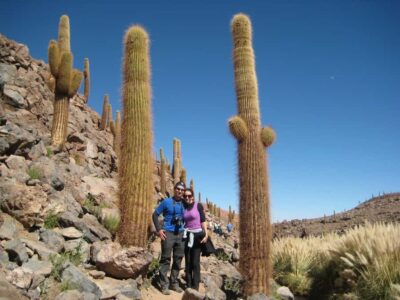 Purilibre Trekking