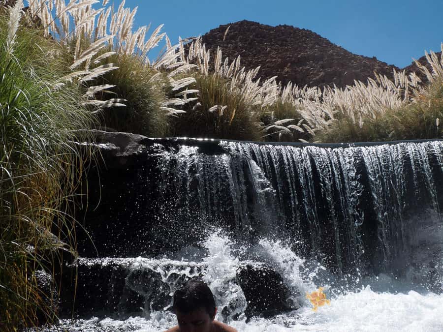 Puritama Hotsprings AM or PM - From San Pedro to a green Andean canyon