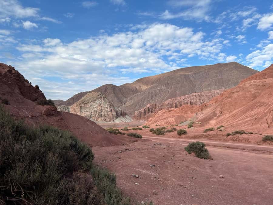 Rainbow Valley Tour + Petroglyphs (Yerbas Buenas) - Key points to know before booking