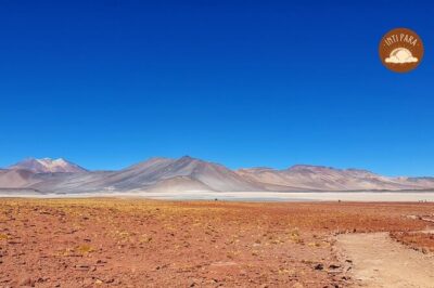 Red Stones and Altiplanic Lagoons