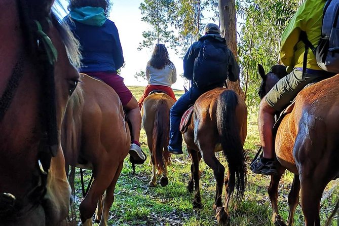 Ride to the highest point on the island for sunset - From Fundo Vaitea to the ranch