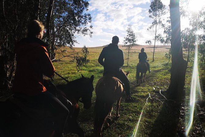 Ride to the highest point on the island for sunset - How the $149 price works out