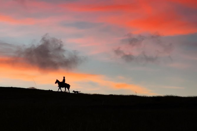 Ride to the highest point on the island for sunset - Riding through the eucalyptus forest