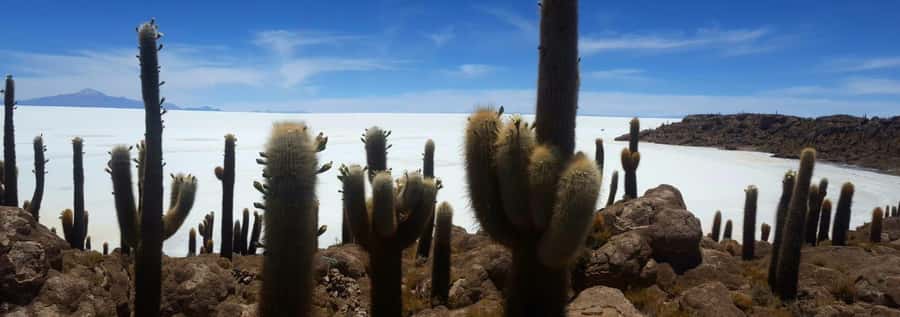 Roundtrip to the Uyuni Salt Flat and the Colored Lagoons - Day three: Geysers, hot springs, and another Villamar night
