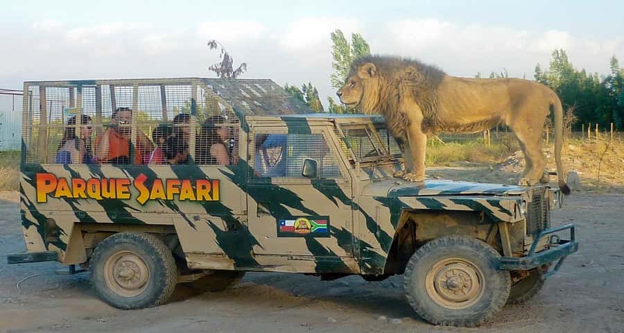 SAFARI PARK-TOUR RANCAGUA : CHILE - Getting to Rancagua Safari Park from your accommodation