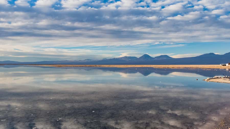 Salar de Atacama and altiplanic lagoons - Key points to know before booking