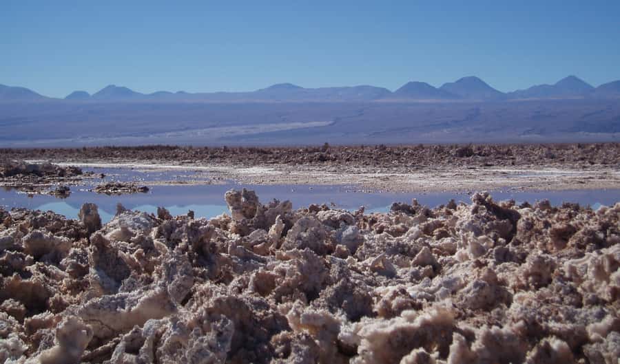 Salar de Atacama and altiplanic lagoons - Why this route works so well in one morning