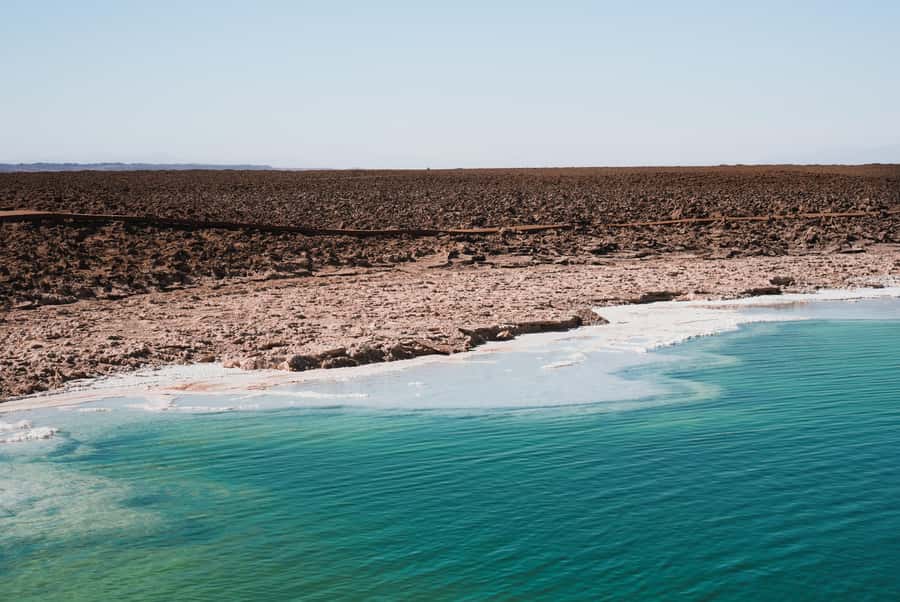 San Pedro Atacama: Baltinache Lagoons - Key points to know before you go