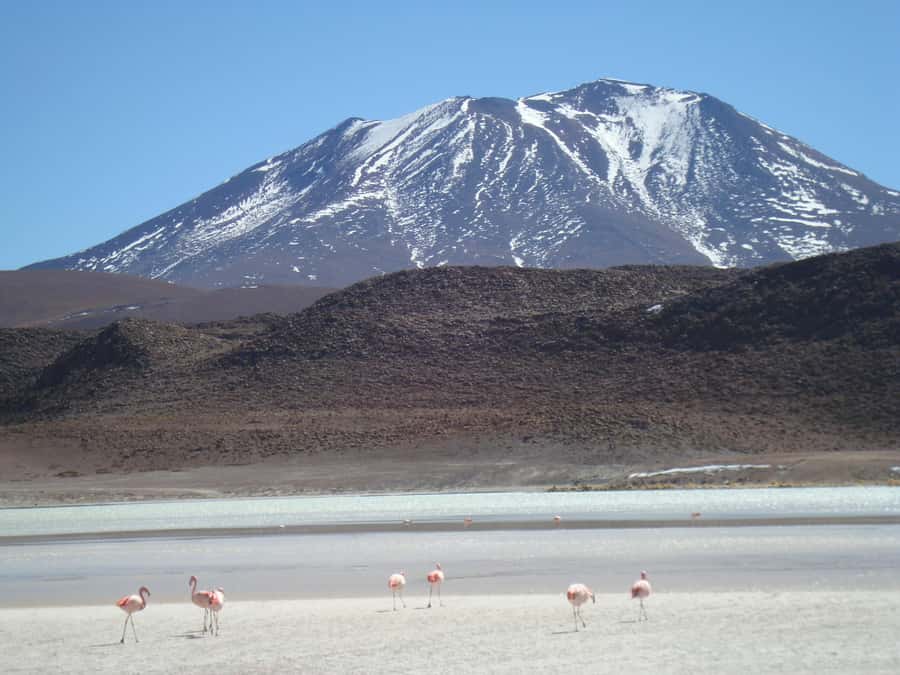San Pedro de Atacama: 3 D. Tour Uyuni and Back to San Pedro - Key points at a glance