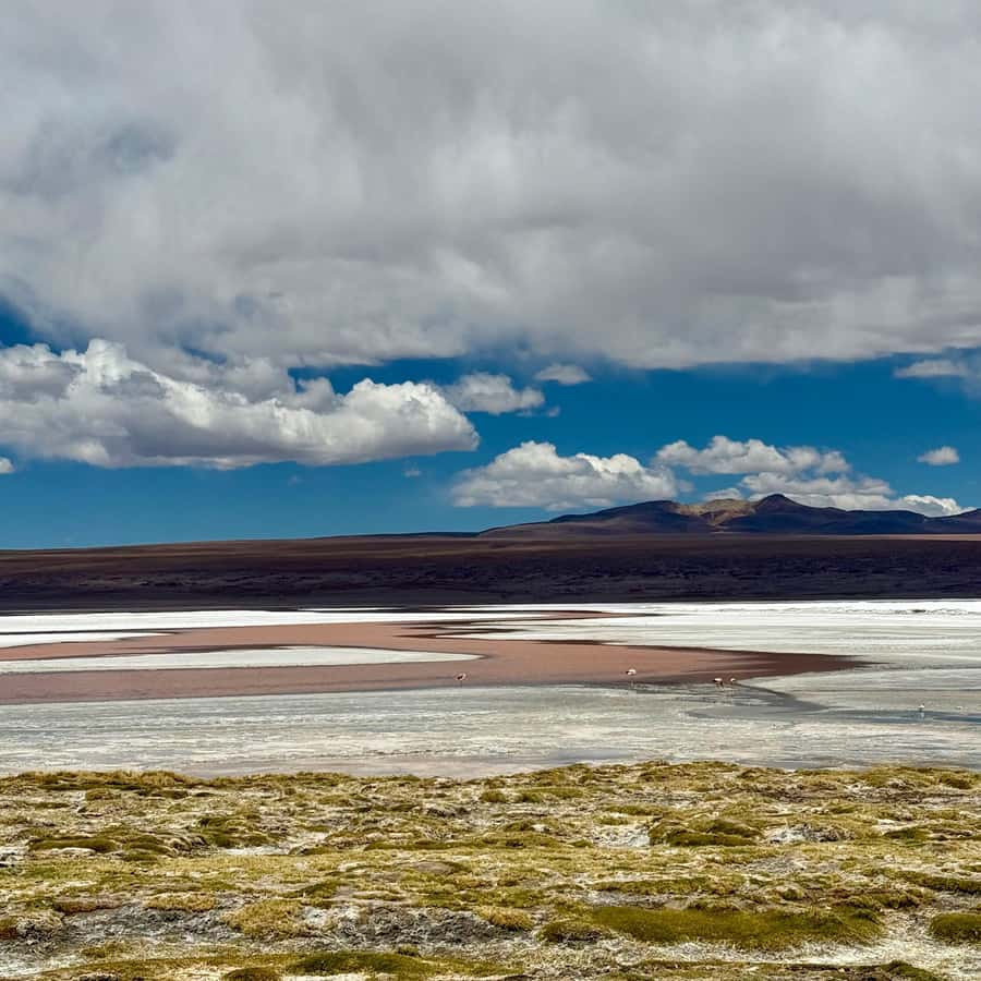 San Pedro de Atacama: 3 D. Tour Uyuni and Back to San Pedro - Day three: the train cemetery and the route back to Chile