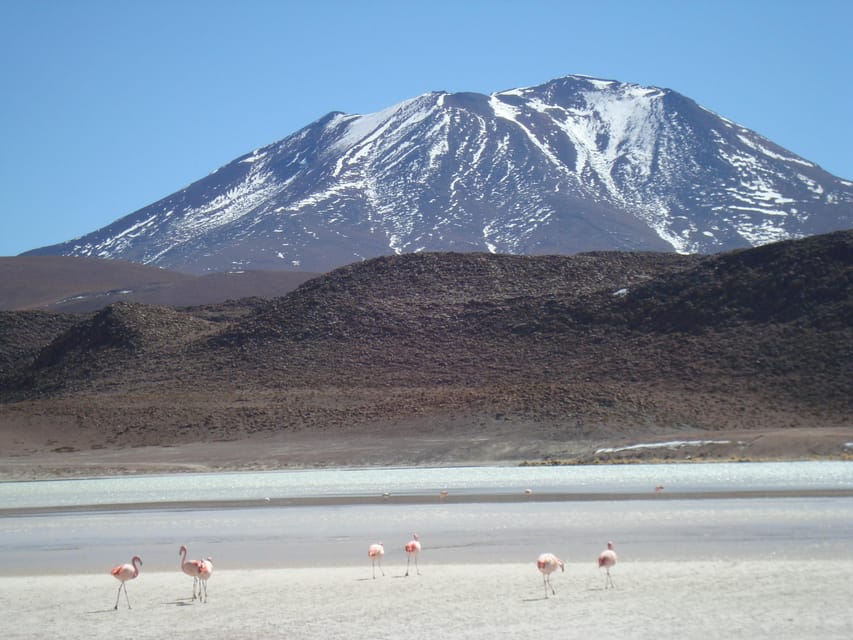 San Pedro de Atacama: 3 D. Tour Uyuni and Back to San Pedro - Why the guides make a difference