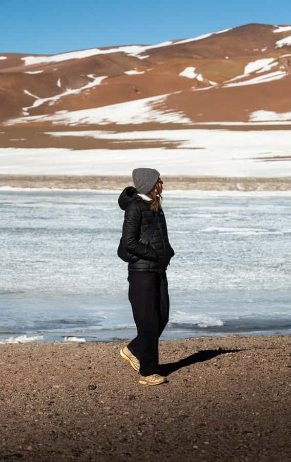 San Pedro de Atacama: Atacama Desert and Salt Flats Day Trip - What the $106 price really covers