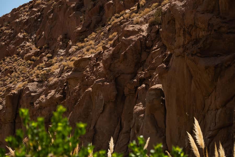 San Pedro de Atacama: Canyon Swimming Pools Trekking Trip - FAQ