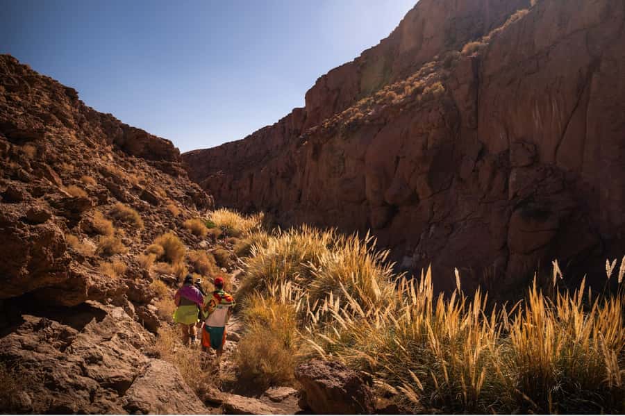 San Pedro de Atacama: Canyon Swimming Pools Trekking Trip - Who should choose this experience