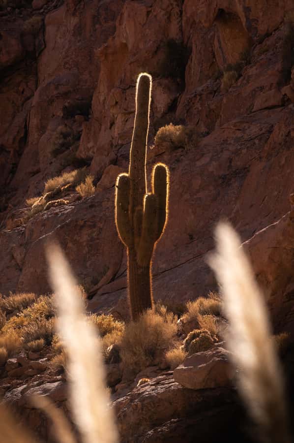 San Pedro de Atacama: Canyon Swimming Pools Trekking Trip - Should you book the canyon pools trip?