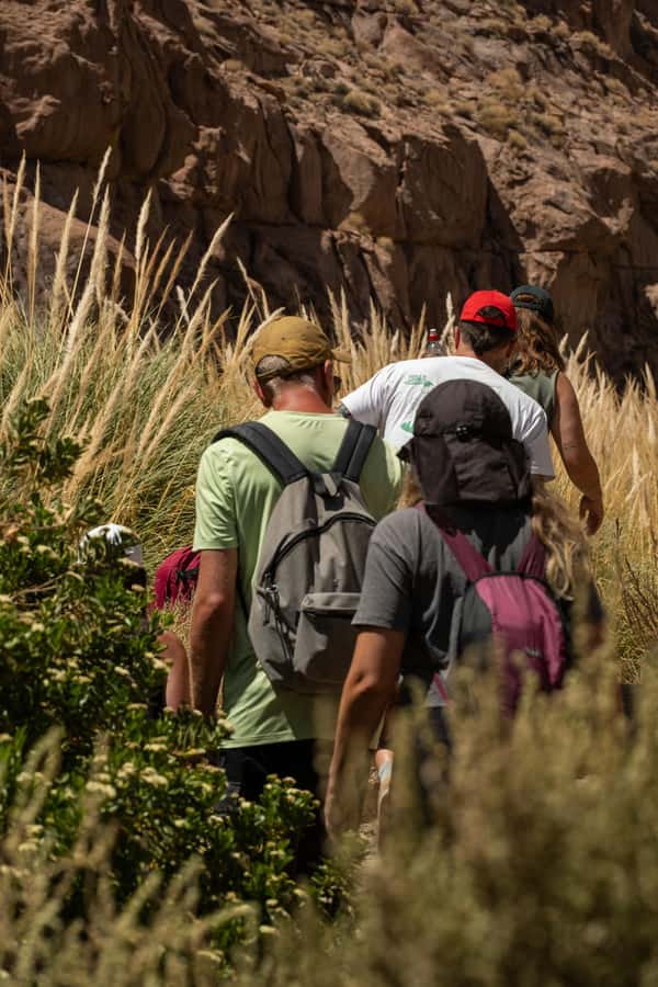 San Pedro de Atacama: Canyon Swimming Pools Trekking Trip - What the guide adds to a short route